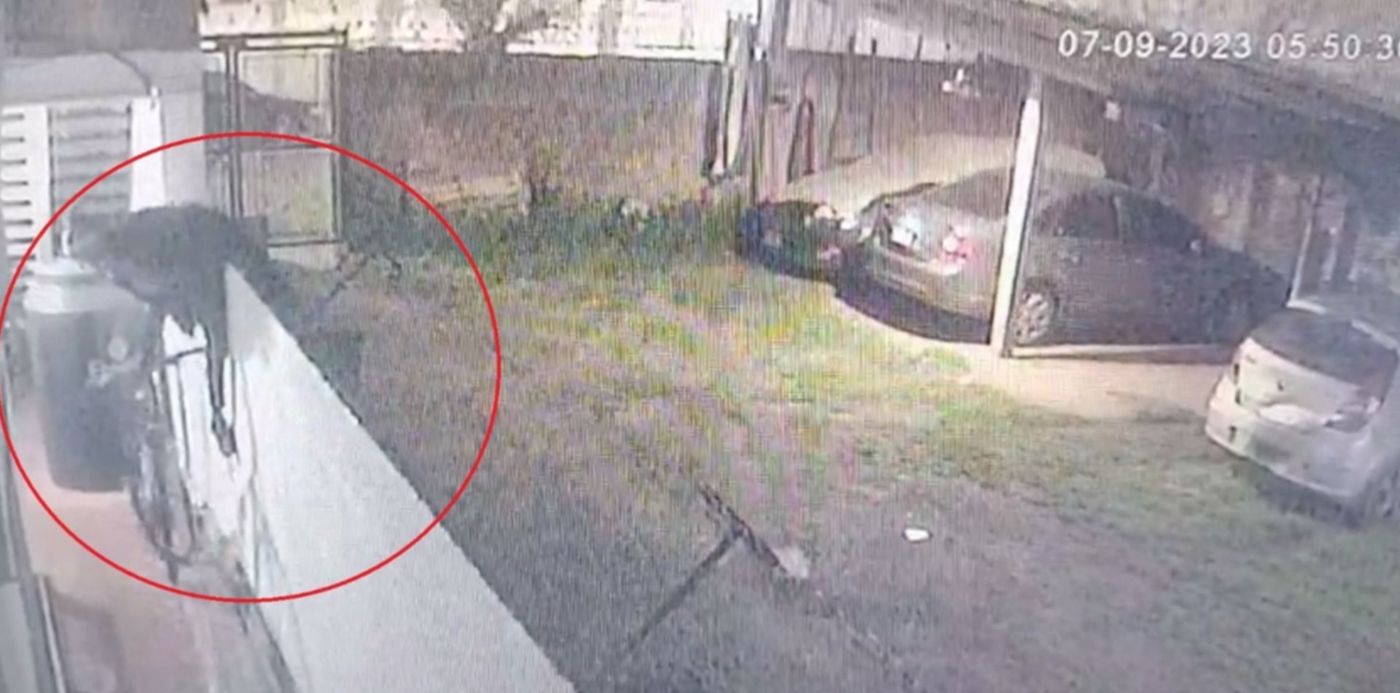 1694210166087.jpg?x=4&y=64&width=1484&height=742&rotate=0&scaleX=1&scaleY=1&ow=1500&oh=828&&cw=1920&ch=950