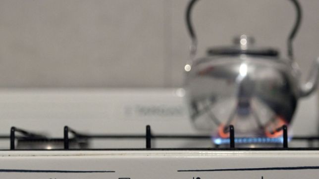 ¿quienes no deberan completar el formulario para mantener los subsidios de luz y gas?