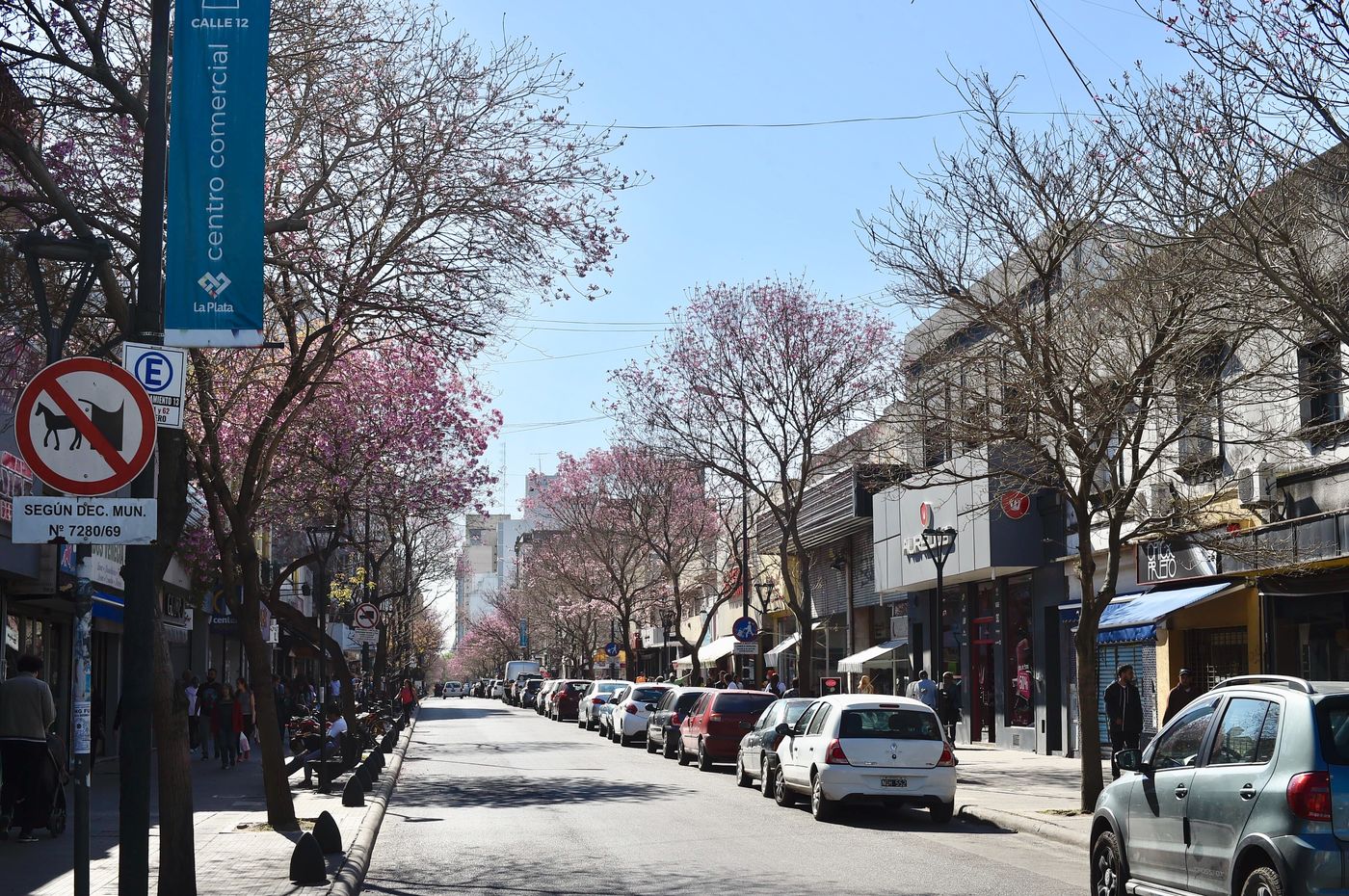 calle 12 centro comercial.JPG