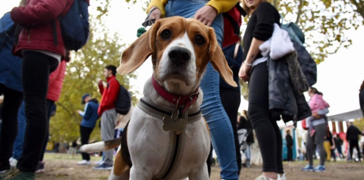 1683495535113.jpg?x=6&y=206&width=1429&height=715&rotate=0&scaleX=1&scaleY=1&ow=1448&oh=966&&cw=1920&ch=950