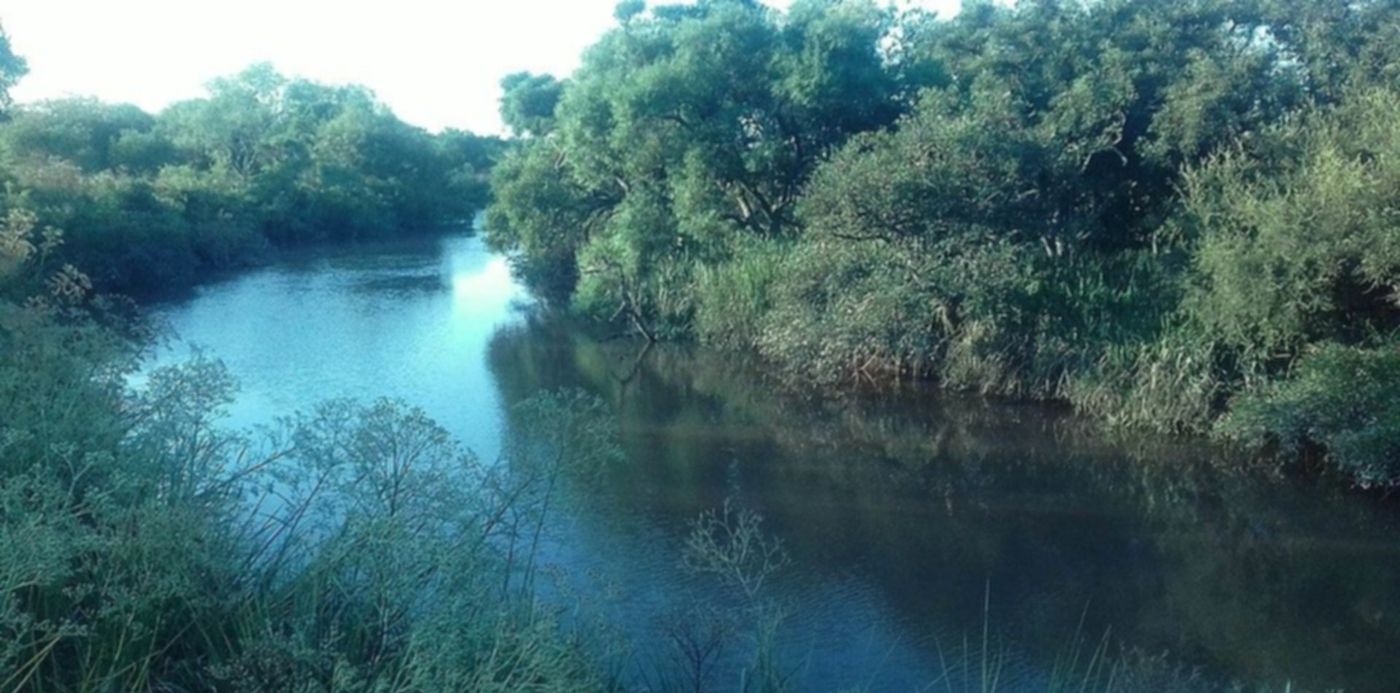 1600171069349.jpg?&cw=1920&ch=950