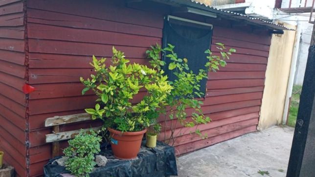 video: rescatan a una mujer y su hija que estaban cautivas en una casilla en la plata