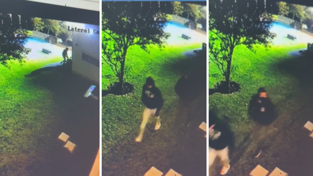 entraron a robar una casa de la plata, quedaron grabados y los atraparon