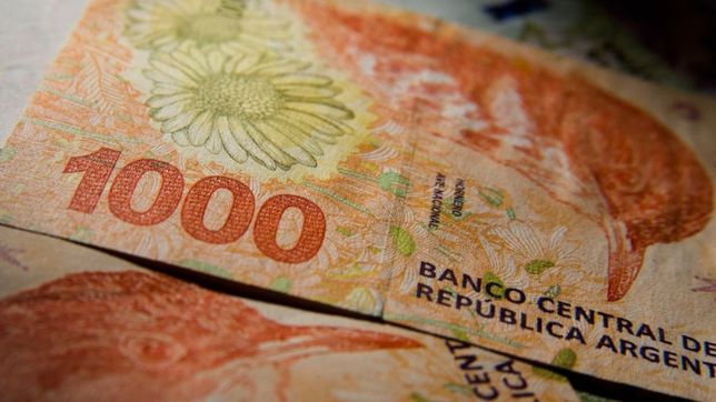 anses paga $17.682 por unica vez: ¿a quienes les corresponde y cuales son los requisitos?