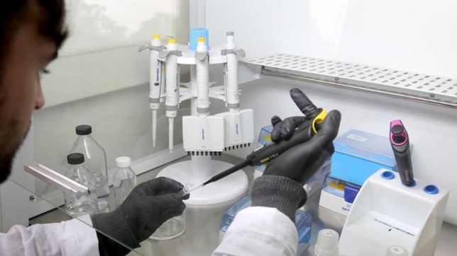 el gobierno incorporara 1.000 cientificos a organismos dependientes del poder ejecutivo