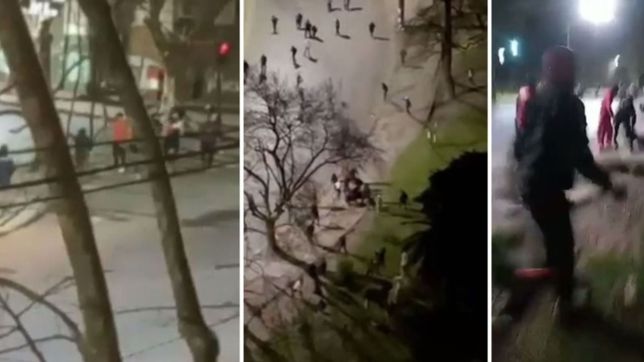 todos los videos de la salvaje pelea de barras en el bosque de la plata