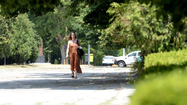 calor, vientos y tormentas: asi va a estar el clima dia por dia esta semana en la plata