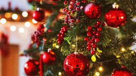 ejemplares, luces, decoracion y mas: ¿cuanto cuesta armar el arbolito de navidad en la plata? ejemplares, luces, decoracion y mas: ¿cuanto cuesta armar el arbolito de navidad en la plata?