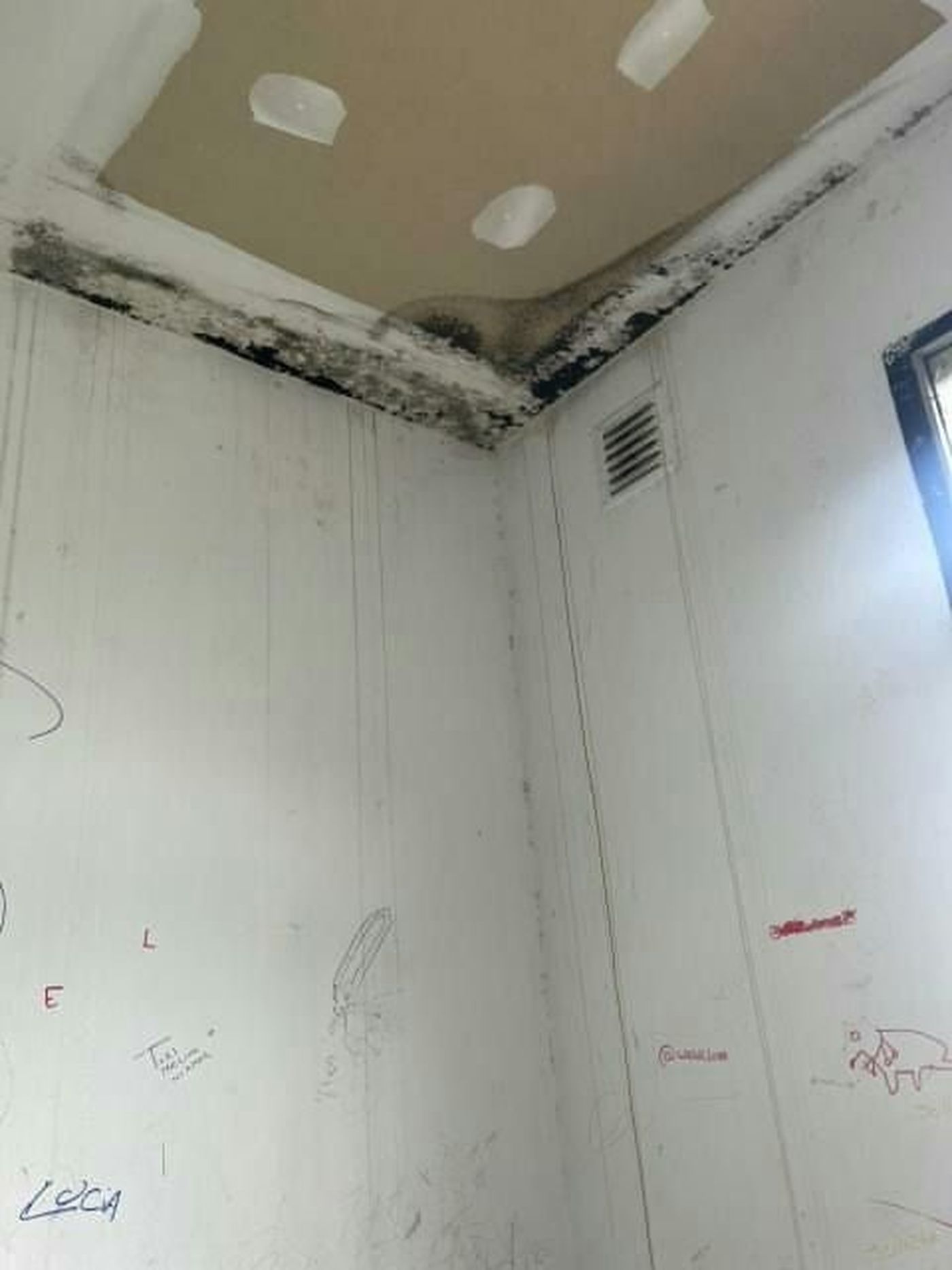 Moho en techos, filtraciones, cables expuestos y gusanos en zócalos reflejan el grave deterioro de la Escuela Secundaria N° 2 de Punta Lara