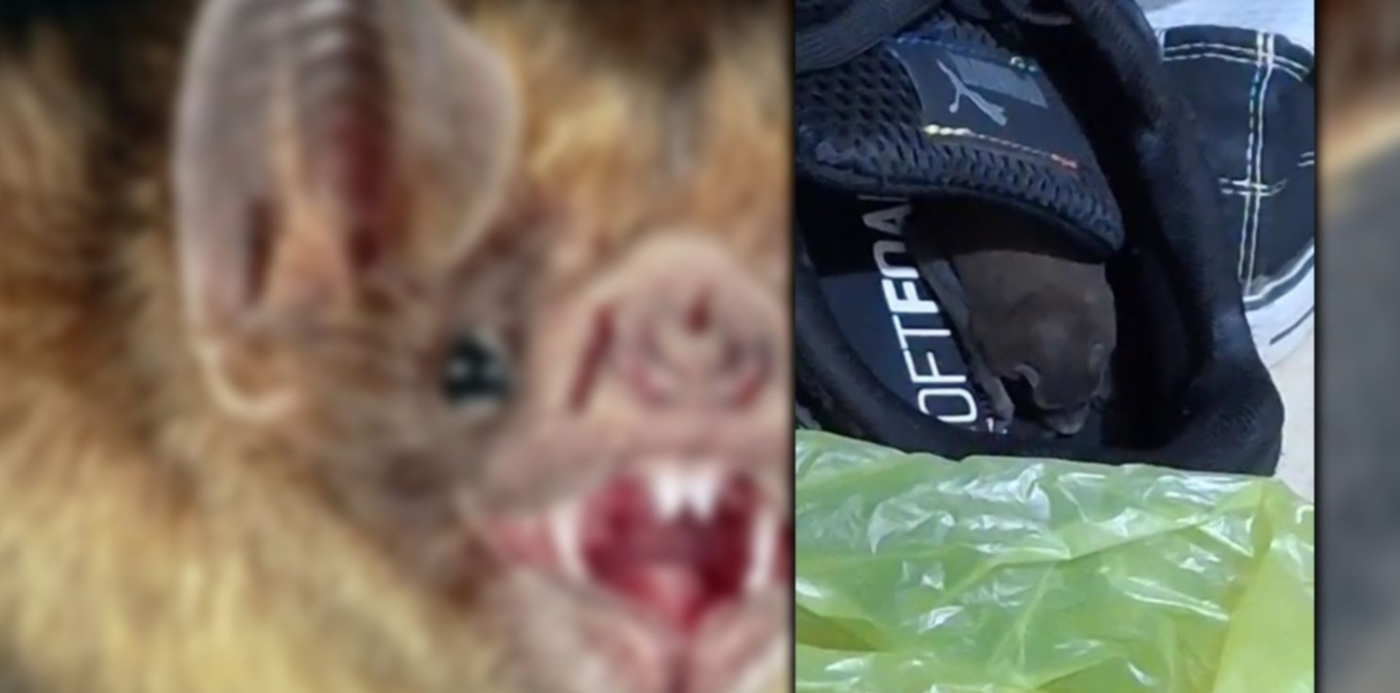 1690924597527.jpg?x=8&y=0&width=1484&height=742&rotate=0&scaleX=1&scaleY=1&ow=1500&oh=742&&cw=1920&ch=950