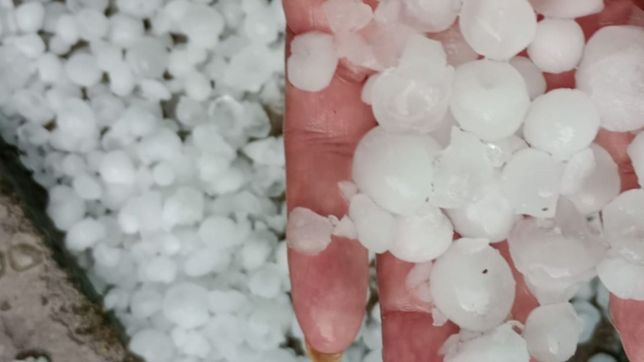video: asi granizo en la plata y las calles quedaron cubiertas de blanco