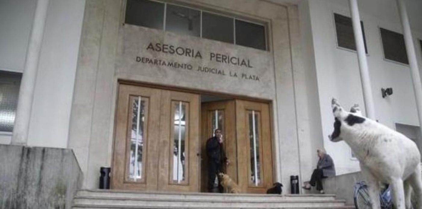 1591009970768.jpg?y=6&width=1162&scaleX=1&scaleY=1&ow=1200&x=13&height=581&rotate=0&oh=599&&cw=1920&ch=950