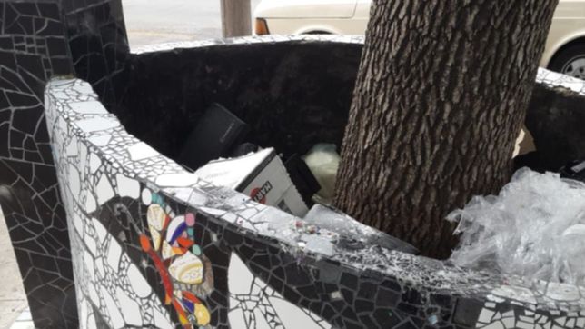 ?de monumento historico a basural a cielo abierto?, la queja de un vecino en pleno centro