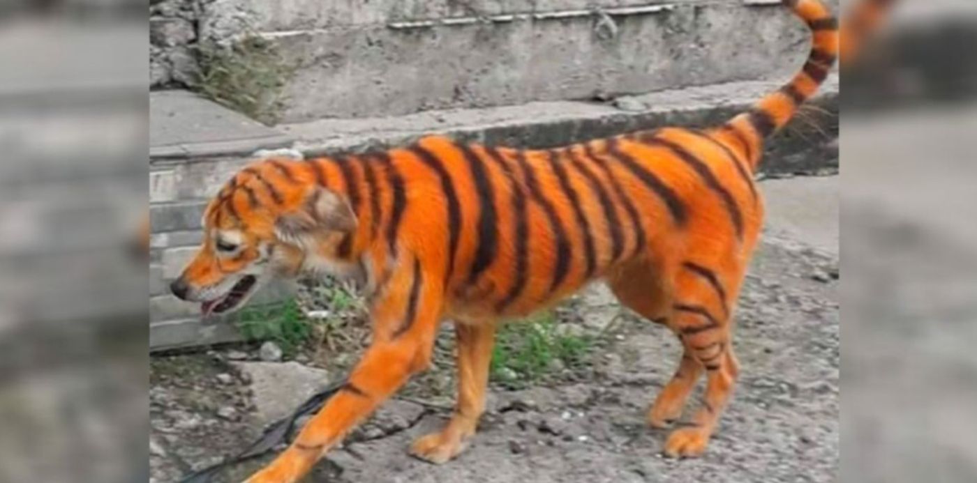 1599136348099.jpg?x=51&y=4&width=1270&height=635&rotate=0&scaleX=1&scaleY=1&ow=1350&oh=650&&cw=1920&ch=950