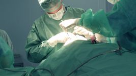 profesionales del hospital san martin, protagonistas de un trasplante inedito en la ciudad profesionales del hospital san martin, protagonistas de un trasplante inedito en la ciudad