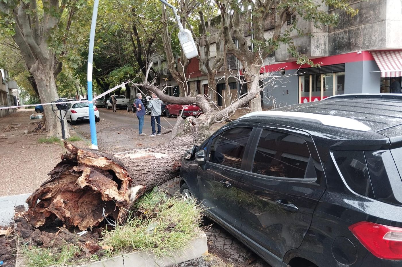 WhatsApp Image 2024-04-16 at 19.04.17.jpeg