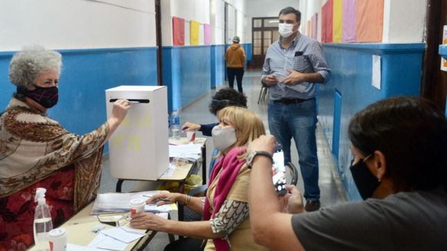 elecciones y pandemia: el video que muestra como sera votar en las paso por el covid-19