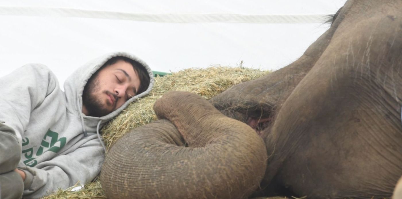 1528195854680.jpg?y=155&width=1486&rotate=0&scaleY=1&x=10&height=743&scaleX=1&ow=1500&oh=997&&cw=1920&ch=950