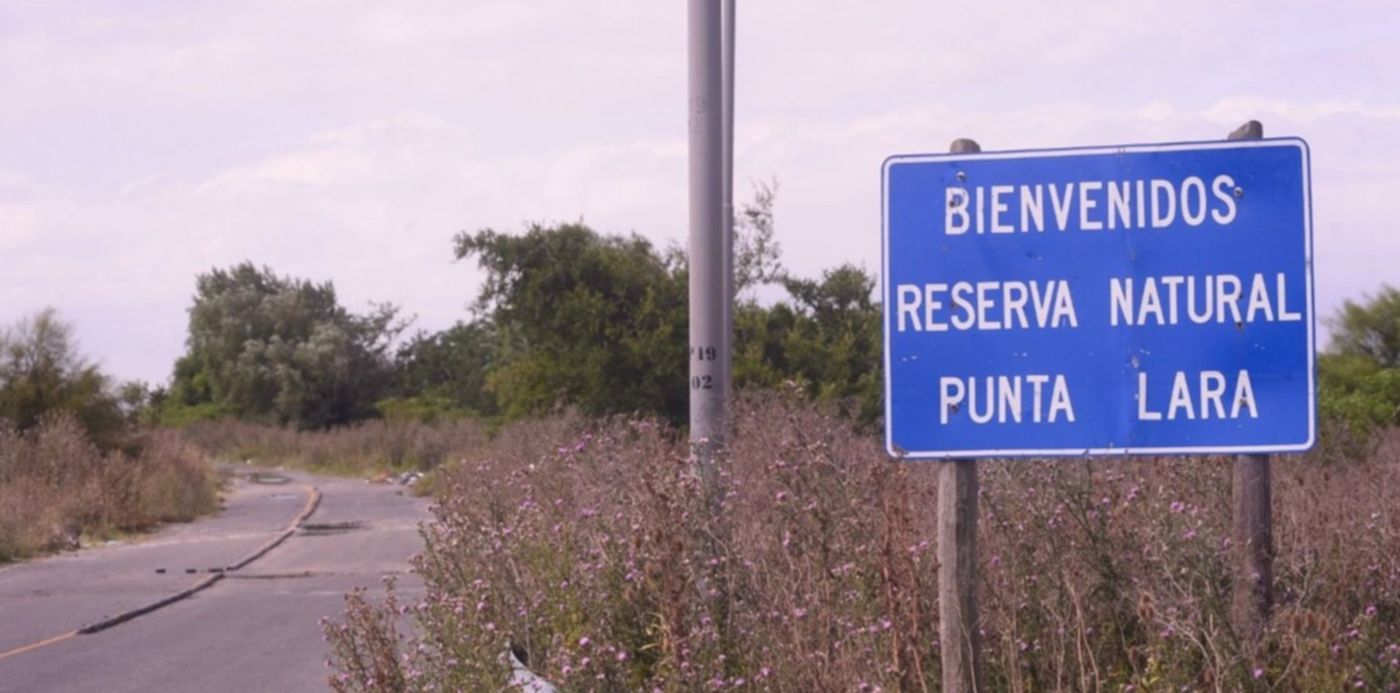 1581464498827.jpg?x=3&y=101&width=1257&height=628&rotate=0&scaleX=1&scaleY=1&ow=1280&oh=850&&cw=1920&ch=950