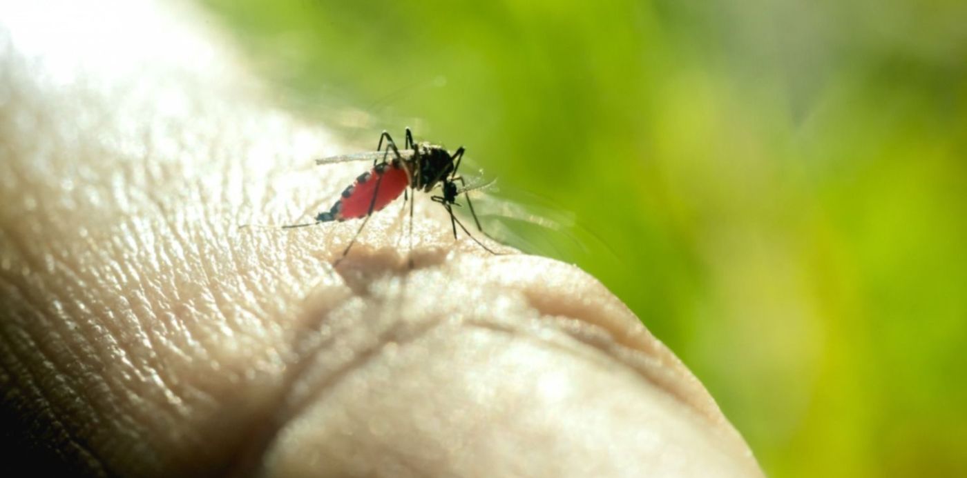 1582765966714.jpg?scaleX=1&scaleY=1&oh=1000&rotate=0&ow=1500&x=7&y=150&width=1493&height=747&&cw=1920&ch=950