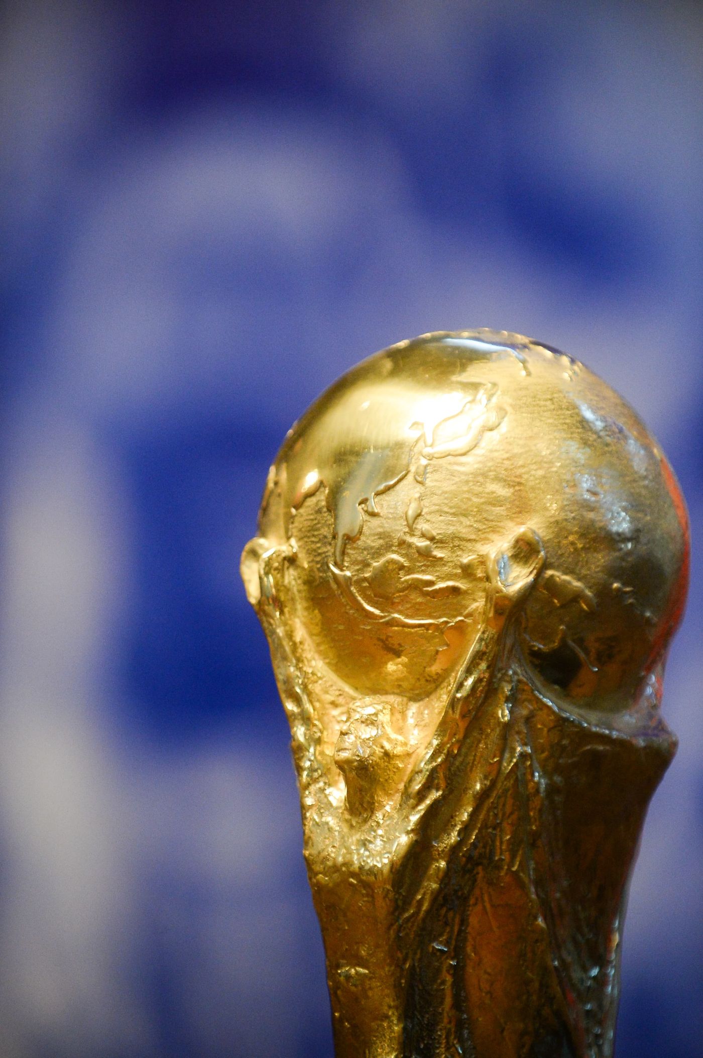 Las copas del mundo de Argentina en la Municipalidad de La Plata