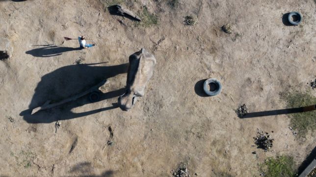 nacio en hamburgo y actuo en una pelicula: la historia de pelusa, que murio a los 52 anos