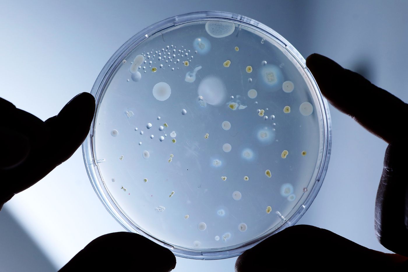 Un cient&iacute;fico del CONICET La Plata hace historia en Estados Unidos