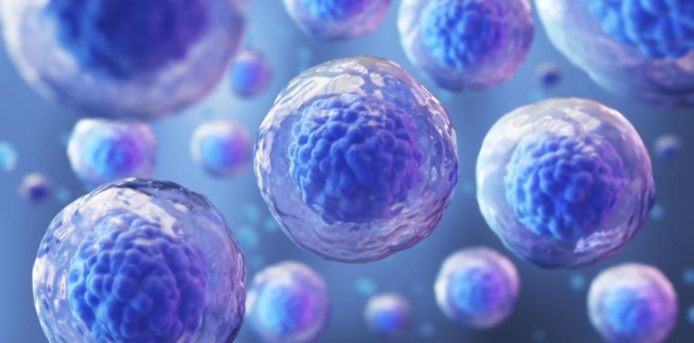 1625496314433.jpg?x=11&y=114&width=1122&height=561&rotate=0&scaleX=1&scaleY=1&ow=1140&oh=684&&cw=1920&ch=950