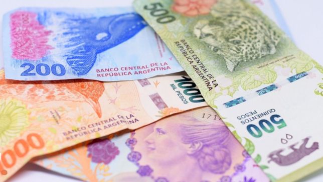 ¿quien es el platense con mas chances de desbancar a los animales de los billetes?