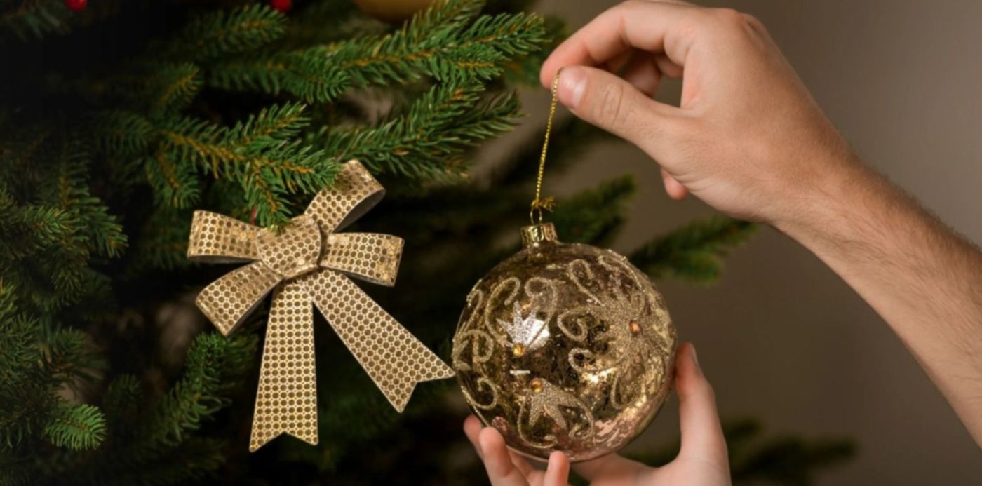 1670334862692.jpg?x=10&y=84&width=1487&height=743&rotate=0&scaleX=1&scaleY=1&ow=1500&oh=1001&&cw=1920&ch=950