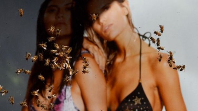 video: revuelo en pleno centro por una sorpresiva invasion de abejas