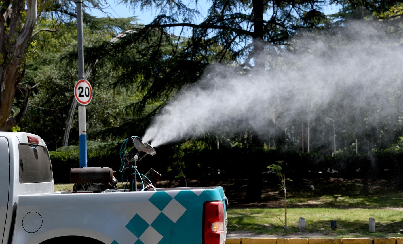 fumigacion bosque mosquitos-0004.JPG