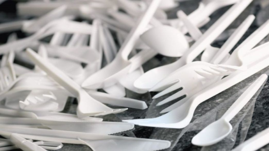 El proyecto de ordenanza para prohibir los plásticos de un uso en La Plata obtuvo despacho