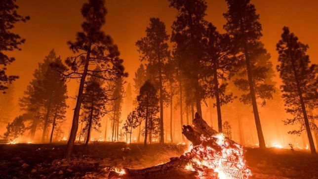 es preciso tomar medidas urgentes frente al cambio climatico