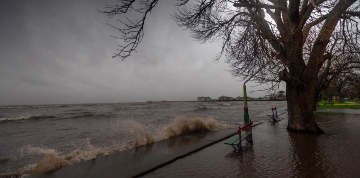 1549930470762.jpg?x=14&y=190&width=1465&height=733&rotate=0&scaleX=1&scaleY=1&ow=1500&oh=994&&cw=1920&ch=950