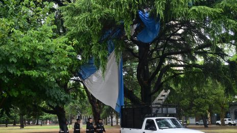 El fuerte viento destrozó la bandera argentina de Plaza Moreno y terminó colgada de un árbol El fuerte viento destrozó la bandera argentina de Plaza Moreno y terminó colgada de un árbol