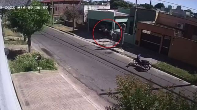 video: un motochorro intento atacarla en la plata, pero se resistio y lo puso en fuga