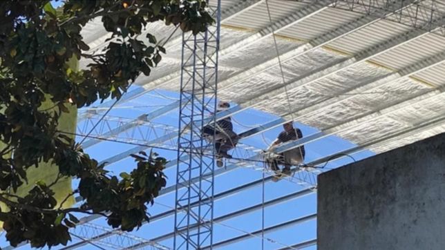 escandalo en gonnet: clausuraron una obra clandestina en un conocido colegio privado