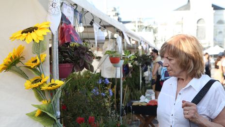 Todo listo para disfrutar de una triple jornada de flores, música y comida en Plaza Moreno Todo listo para disfrutar de una triple jornada de flores, música y comida en Plaza Moreno