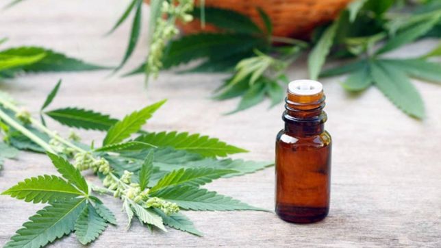 el pedido de un papa para salvar a sus hijos con aceite de cannabis y evitar la carcel