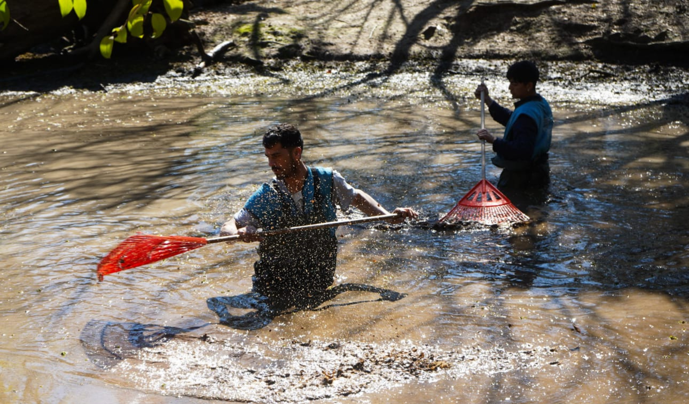 Los trabajos en una de las lagunas del Bioparque