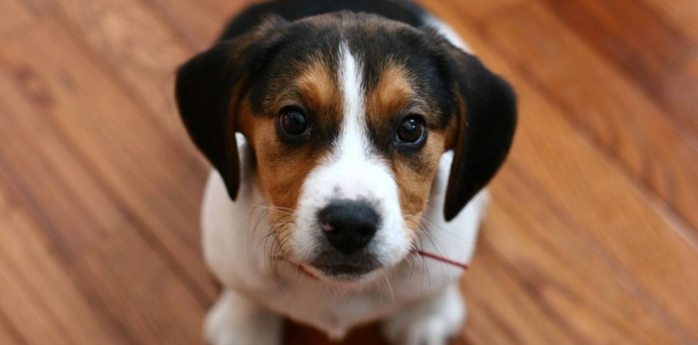 1567558253270.jpg?x=0&width=1490&height=745&rotate=0&scaleX=1&scaleY=1&oh=1000&y=147&ow=1500&&cw=1920&ch=950