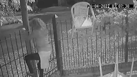 VIDEO: Captan a una mujer araña robando muebles de patio de una casa de La Plata