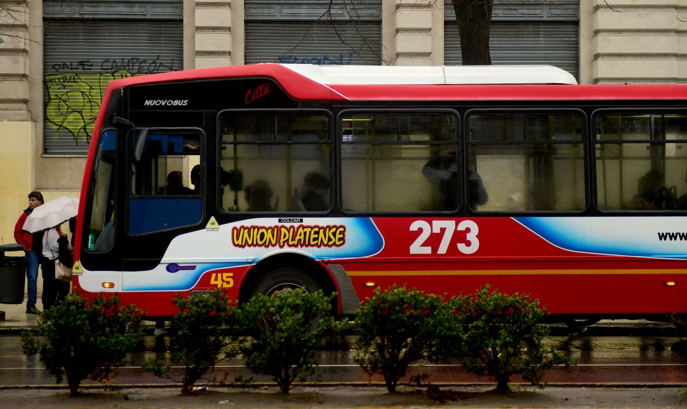 Micros colectivos (16).JPG