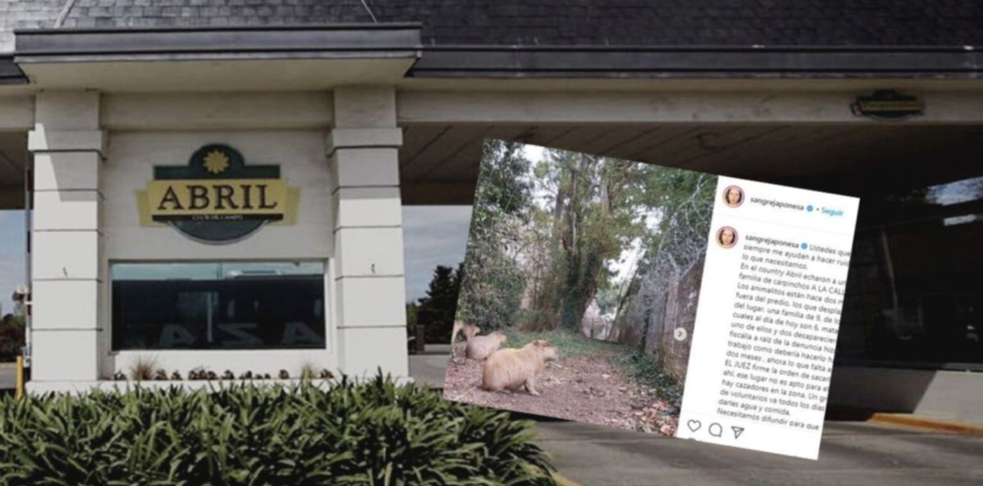 1594641331635.jpg?x=84&y=7&width=1261&height=631&rotate=0&scaleX=1&scaleY=1&ow=1350&oh=650&&cw=1920&ch=950