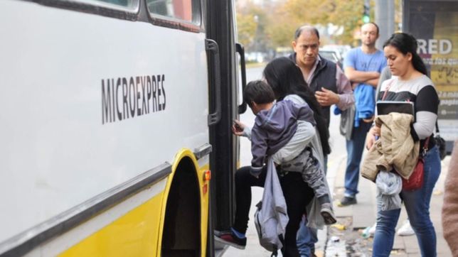 ya rige la nueva tarifa para micros y trenes: uno por uno, todos los valores en la plata
