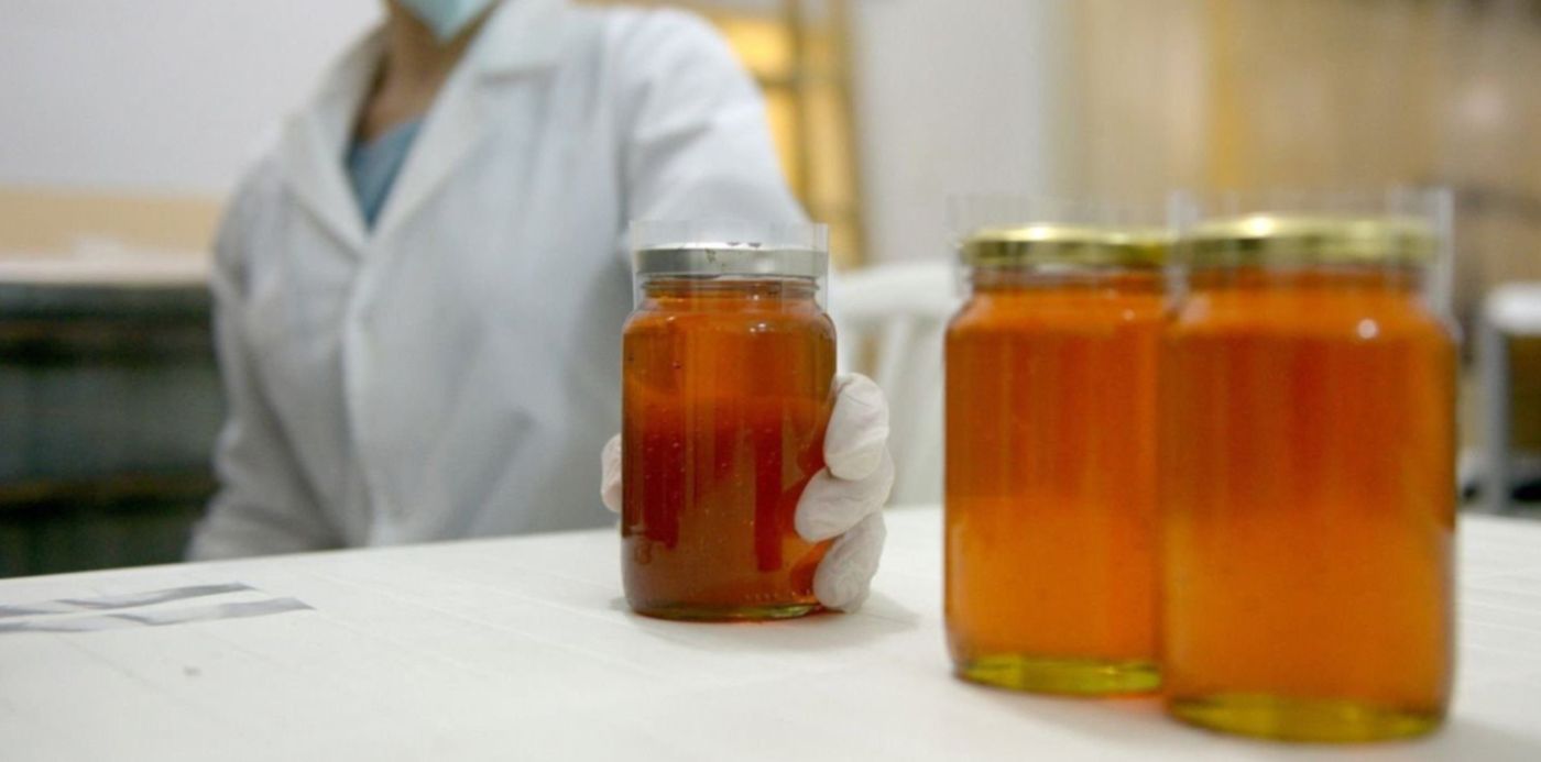 1558443816045.jpg?x=3&y=227&width=1494&height=747&rotate=0&scaleX=1&scaleY=1&ow=1500&oh=1001&&cw=1920&ch=950