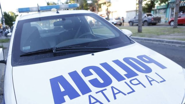 detuvieron a dos ladrones mientras robaban las chapas del techo de un galpon en los hornos