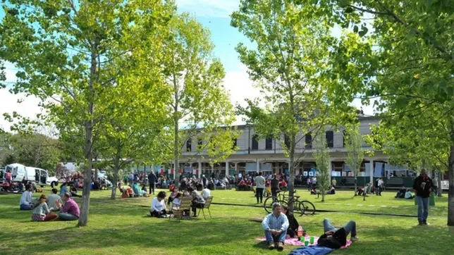 una escuela de la plata celebra el dia del arbol con una gran plantacion en meridiano v