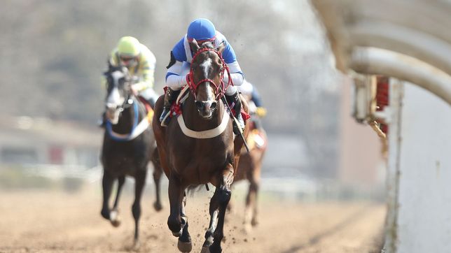 el hipodromo suspendio las carreras por un paro de jockeys y cuidadores